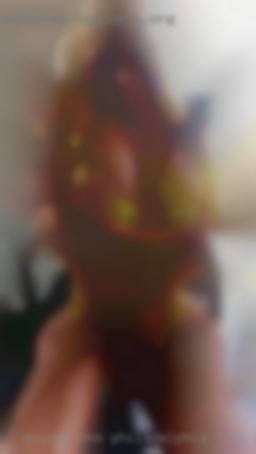Anyone who sparks my Philadelphia that want sex interest.